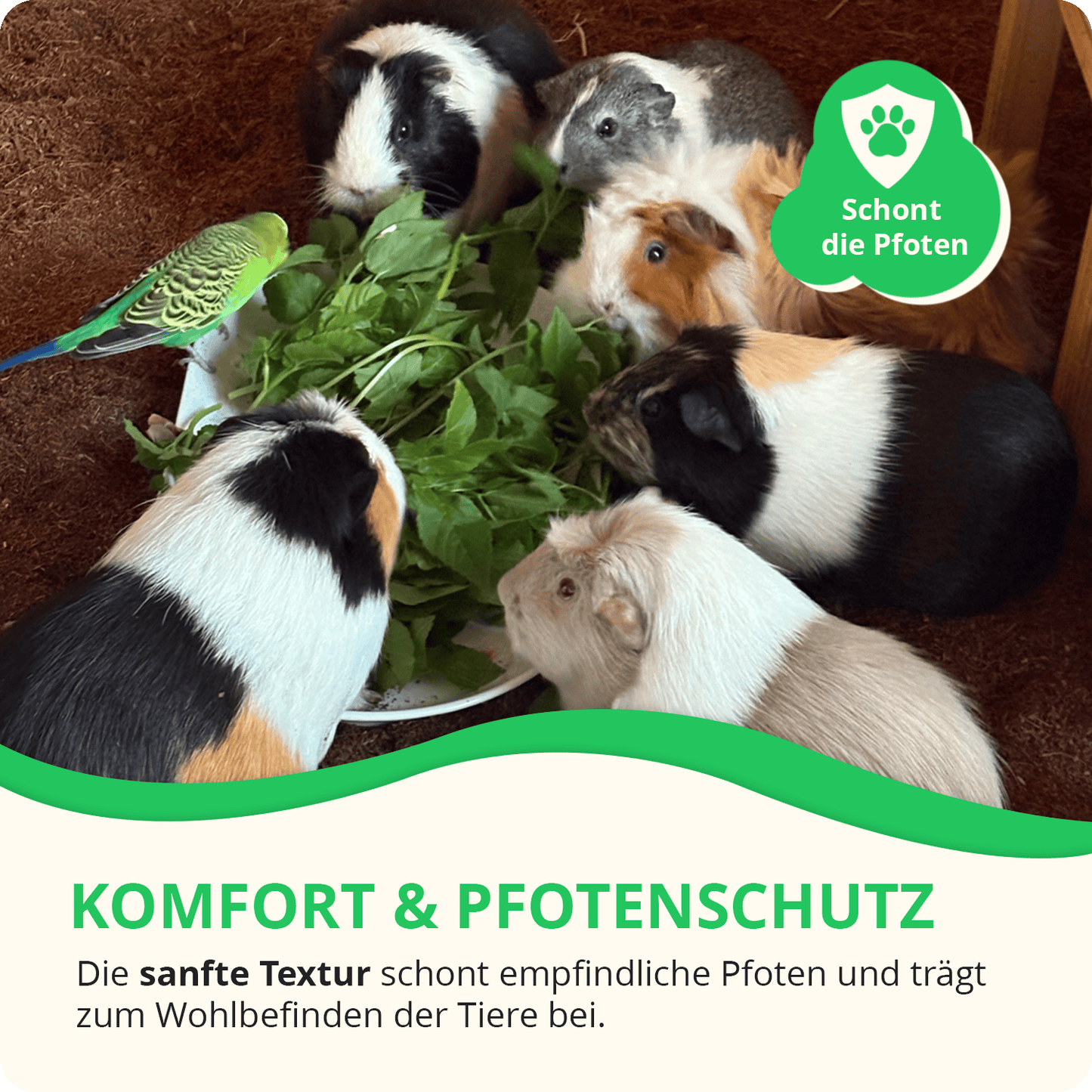 Bodembedekking voor kleine dieren